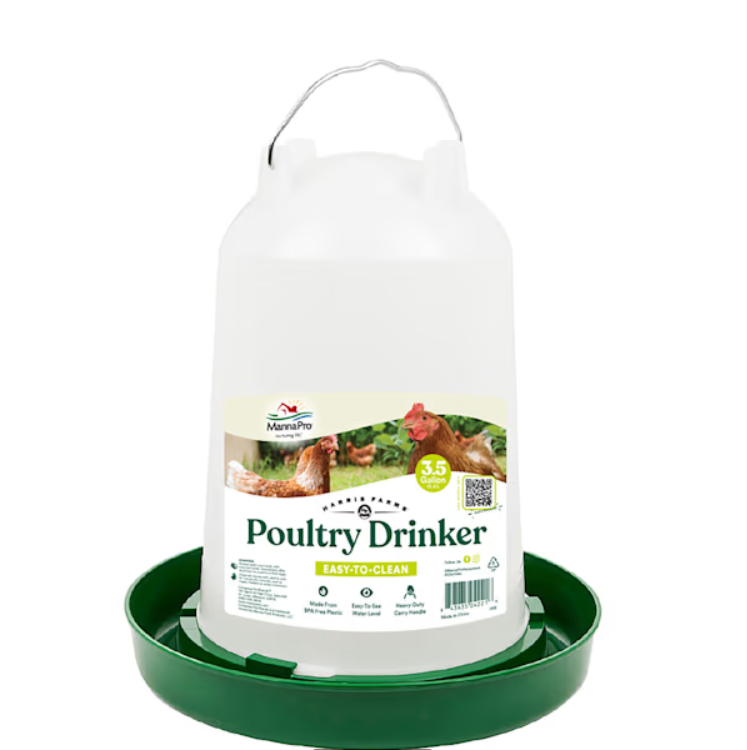 Poultry drinker with a green base on a white background