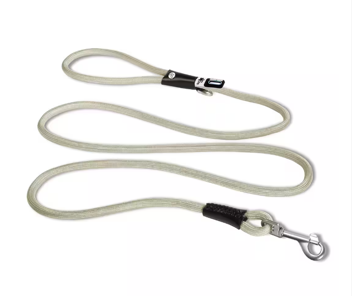 Dog leash with metal clip on a white background