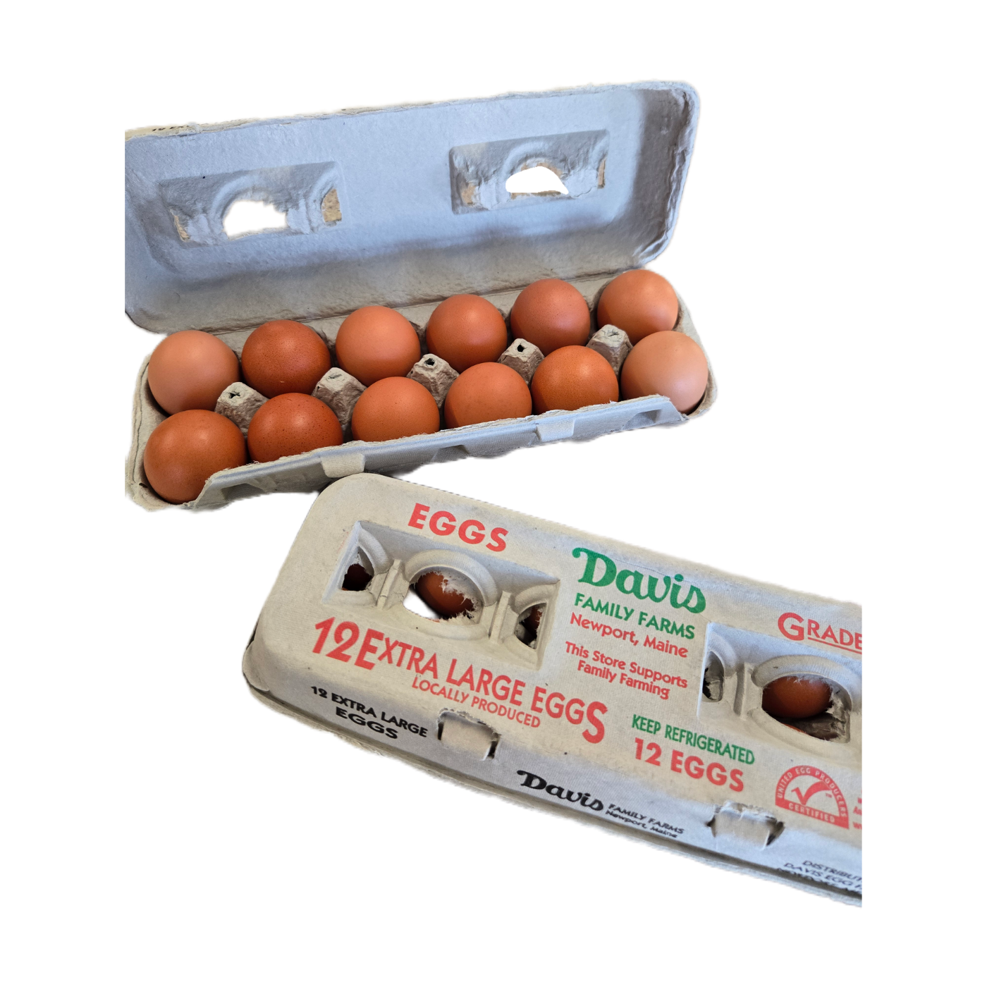 Egg carton with 12 extra large eggs on a white background
