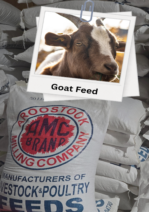 Goat feed bag with a picture of a goat on top