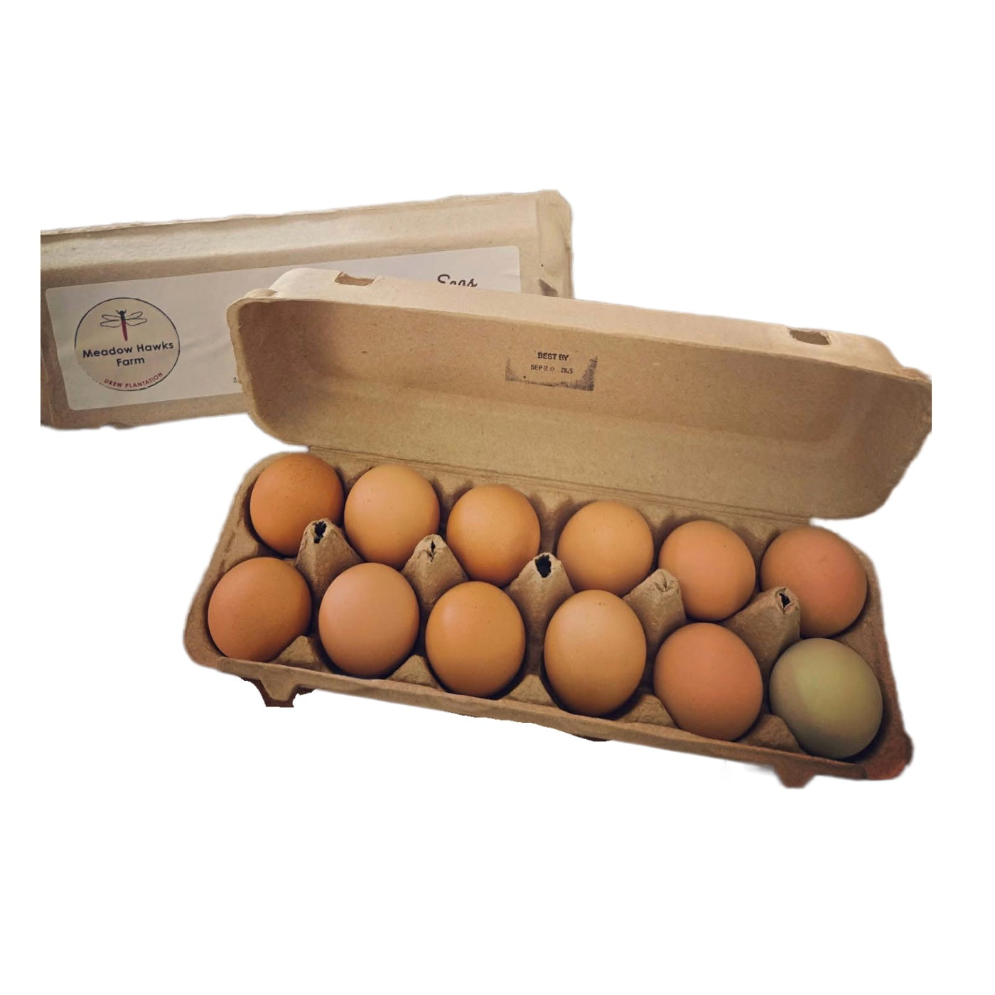 Carton of eggs with a visible brand logo on a white background