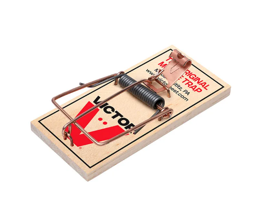 Victor mouse trap on a white background