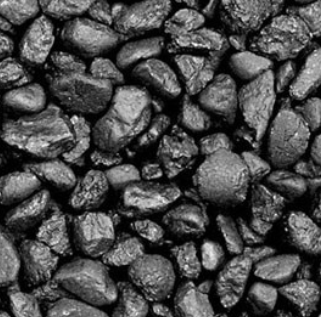 Close-up of nut coal