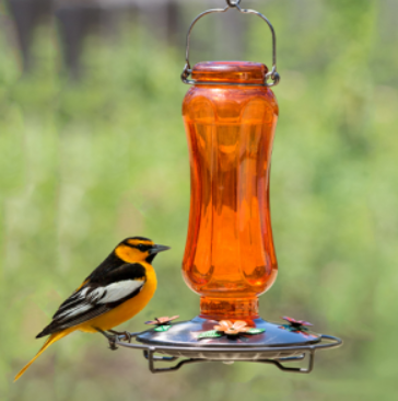 Orange bird feeder with a bird perched on it against a blurred green background