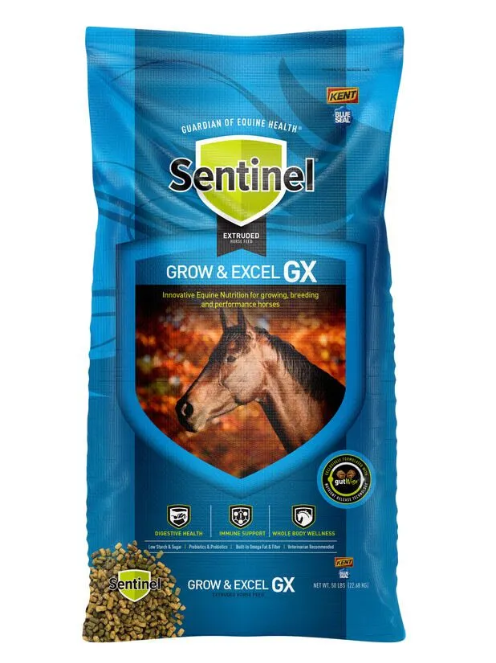 Blue Sentinel Grow & Excel GX horse feed bag on a white background