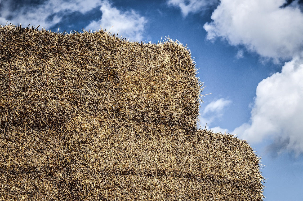 Stack of hay against a blue sky with clouds