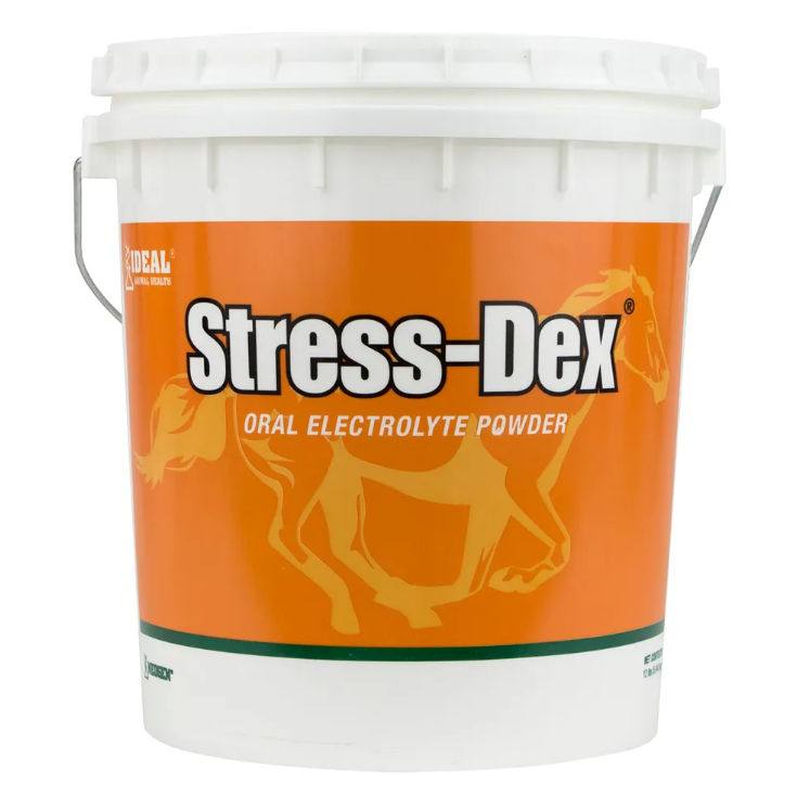 White bucket of Stress-Dex oral electrolyte powder with orange label and horse illustration.