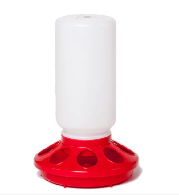 Red and white plastic chicken feeder on a white background