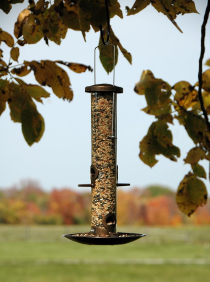 Bird feeder hanging from tree branches with a blurred natural background