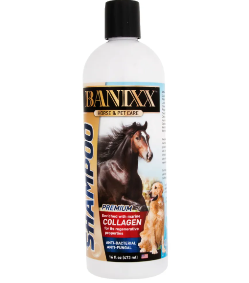 BANIXX shampoo bottle for horses and pets on a white background