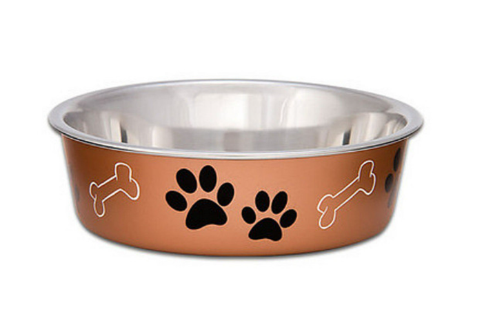 Dog bowl with brown base, silver interior, and paw print and bone designs on a white background
