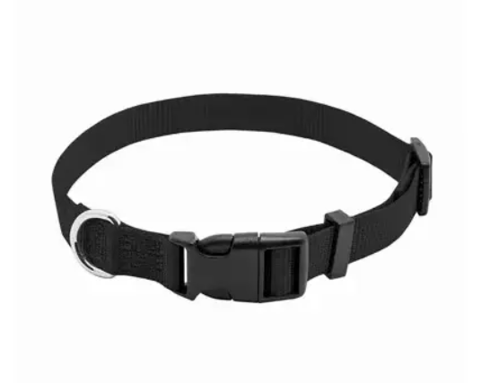 Black dog collar with a buckle on a white background