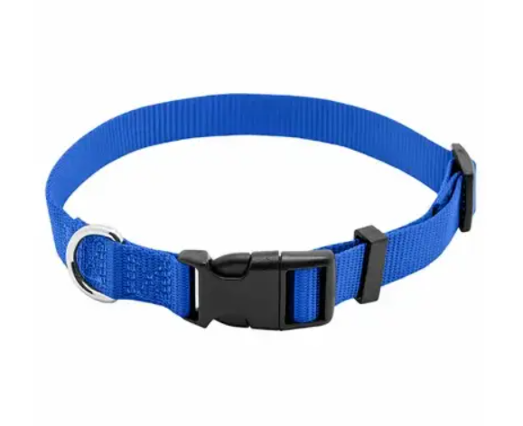 Blue dog collar with a black buckle on a white background