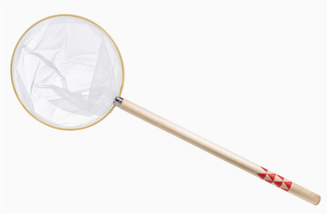 Butterfly net with wooden handle on a white background