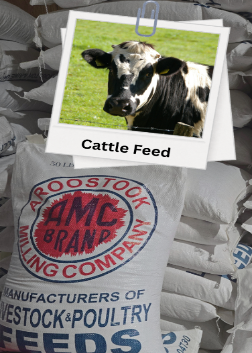 Stack of AMC Brand cattle feed bags with a photo of a cow on top.
