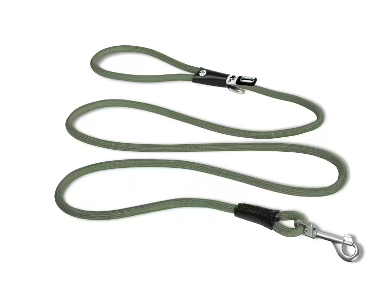Green dog leash with black clip on a white background