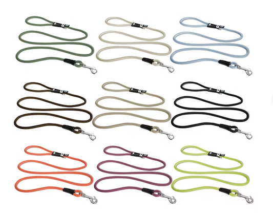 Set of dog leashes in various colors on a white background