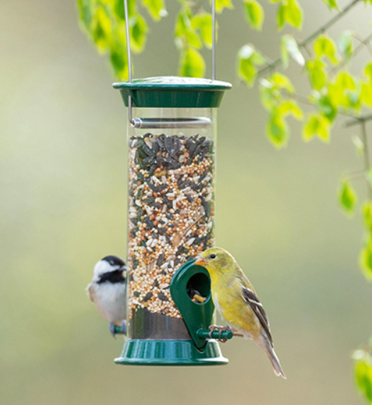 Droll Yankees New Generation 2-port Tube Feeder