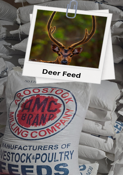 Sack of AMC Brand deer feed with a photo of a deer head on top