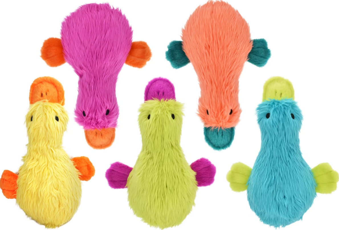 Set of colorful plush duck-shaped dog toys on a white background