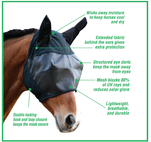 Horse wearing a fly mask with features highlighted