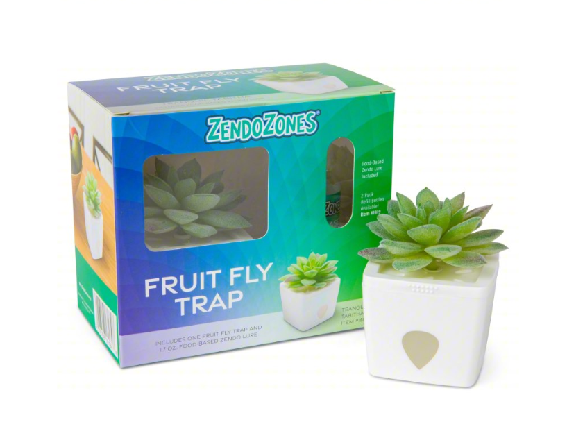 ZendoZones fruit fly trap with a succulent plant on a white background