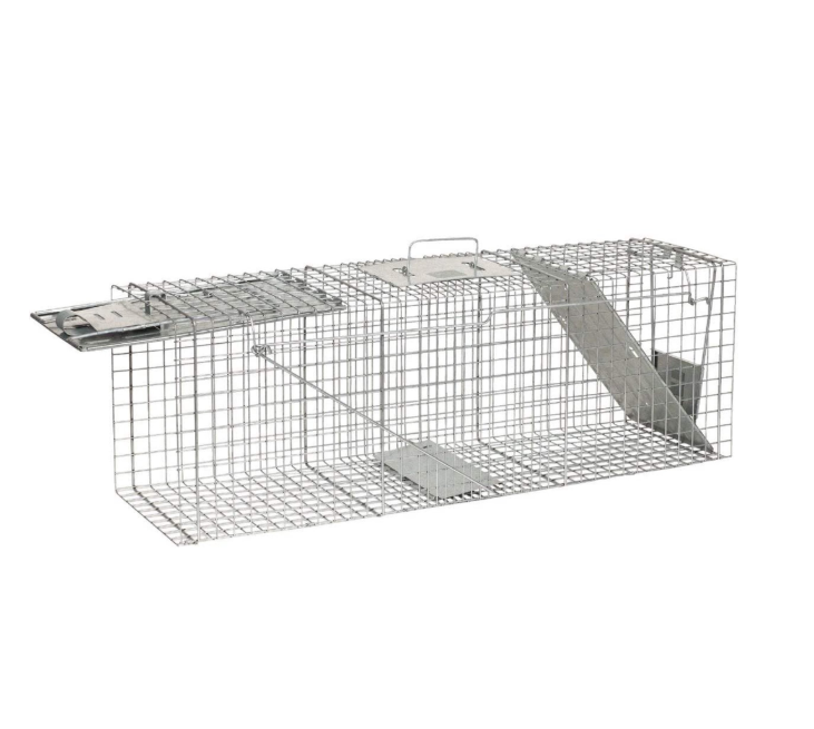 Metal animal trap on a white background