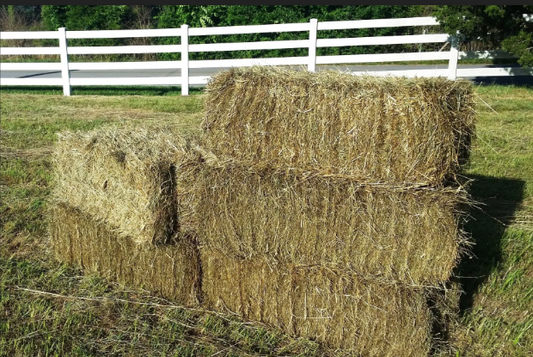Five hay bales on a grassy field with a white fence in the background