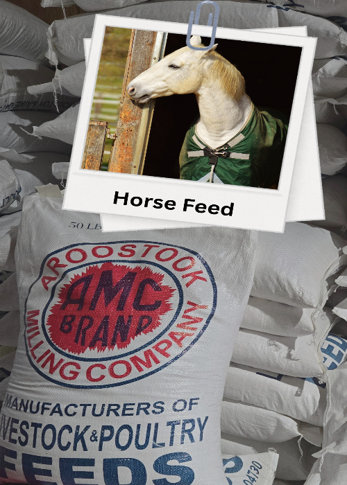 Sack of AMC Brand horse feed with a horse photo on top
