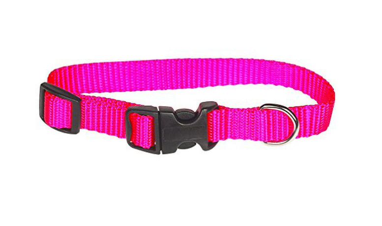 Pink dog collar with a black buckle on a white background