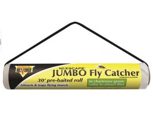Jumbo Fly catcher roll on a white background.