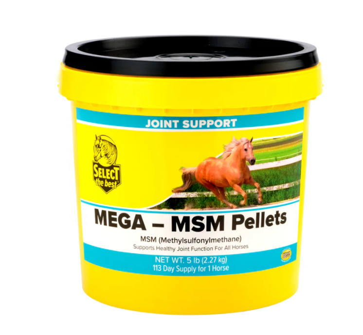 Yellow container of Mega MSM Pellets for joint support with a horse on the label.