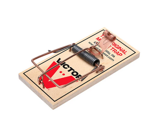 Victor mouse trap on a white background