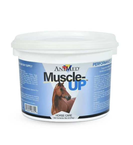 Tub of AniMed Muscle-Up Horse Care supplement on a white background.