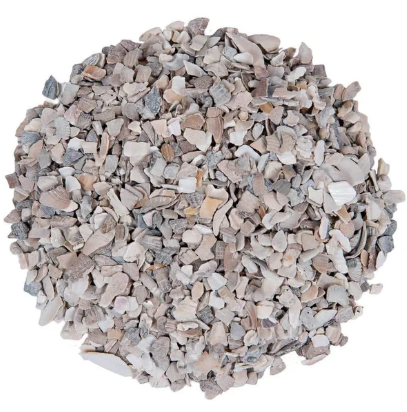 Heap of small crushed oyster shells on a white background