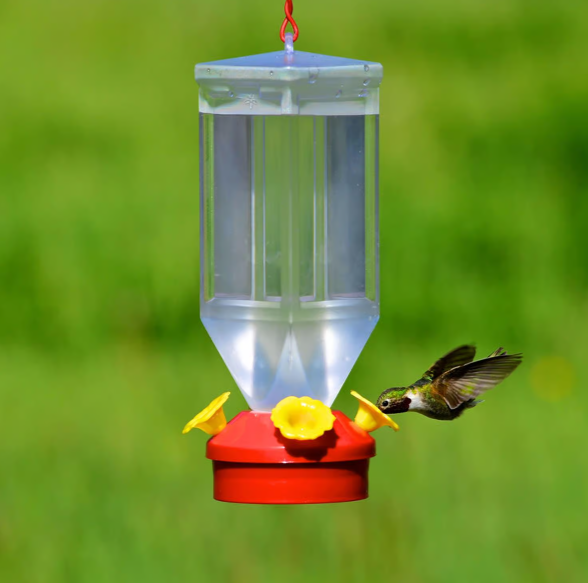 Hummingbird feeder with a hummingbird in flight against a green background