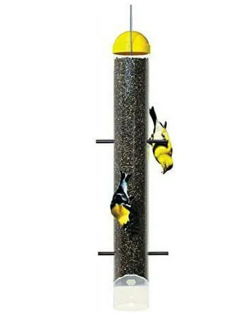 Bird feeder with two birds on a white background