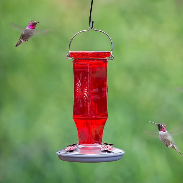 Red hummingbird feeder with two hummingbirds in flight against a green background
