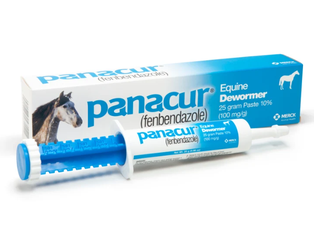 Panacur Equine Devwormer with packaging on a white background
