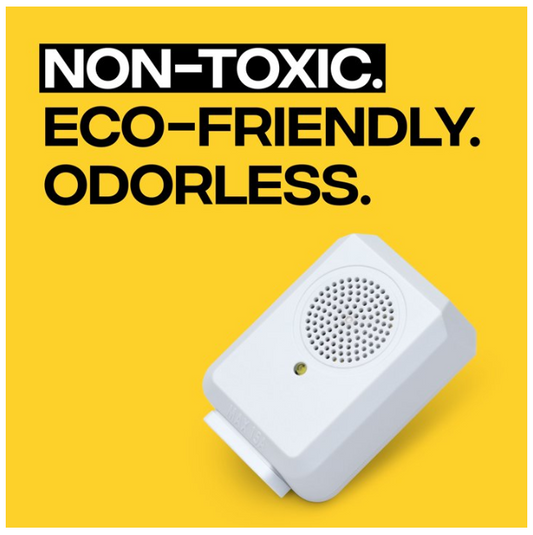 Victor PestChaster device on a yellow background with text 'Non-Toxic. Eco-Friendly. Odorless.'