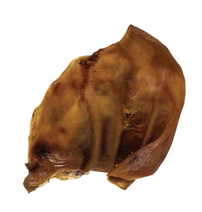 Brown smoke pig ear dog chew on a white background