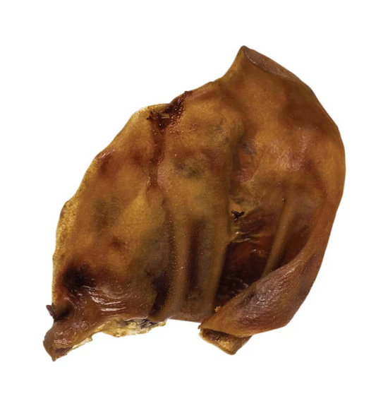 Brown smoke pig ear dog chew on a white background