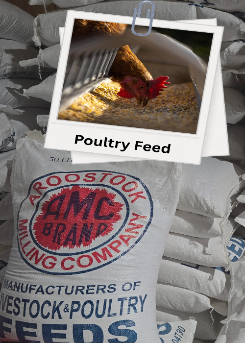 Sack of AMC Brand poultry feed with a rooster in the corner