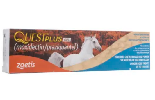 Box of Questplus gel for horses with a horse illustration on a white background
