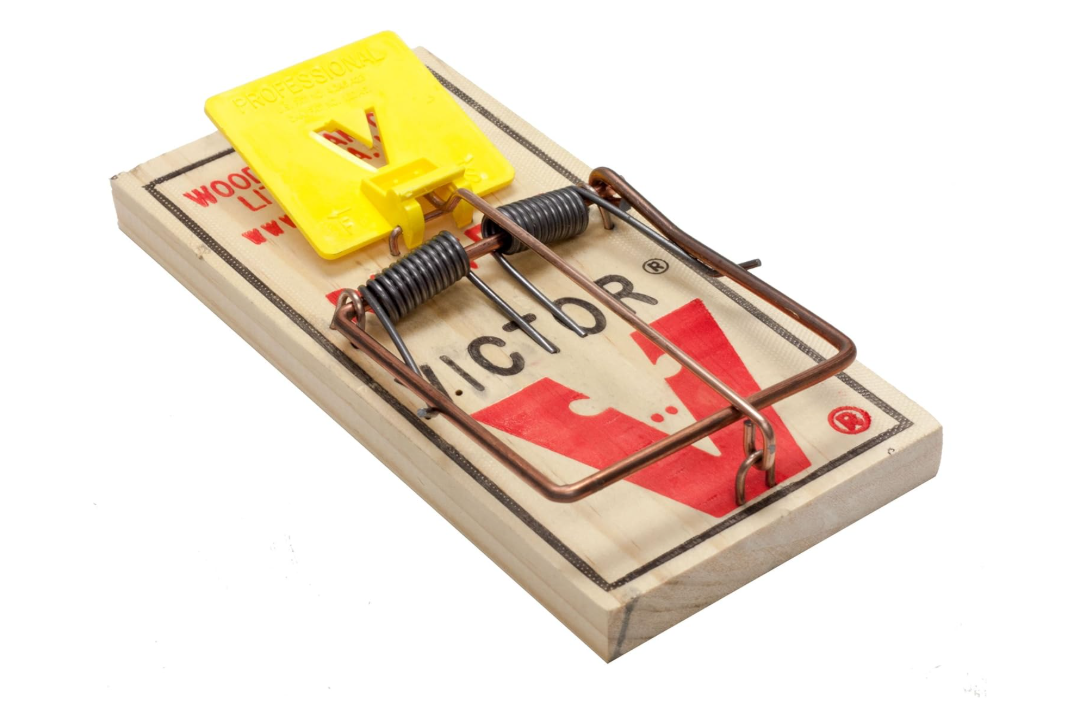 Victor rat trap on a white background