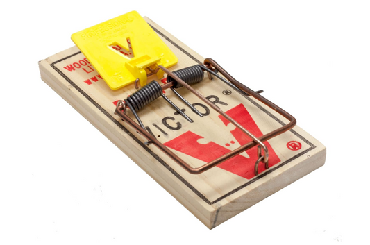 Victor rat trap on a white background