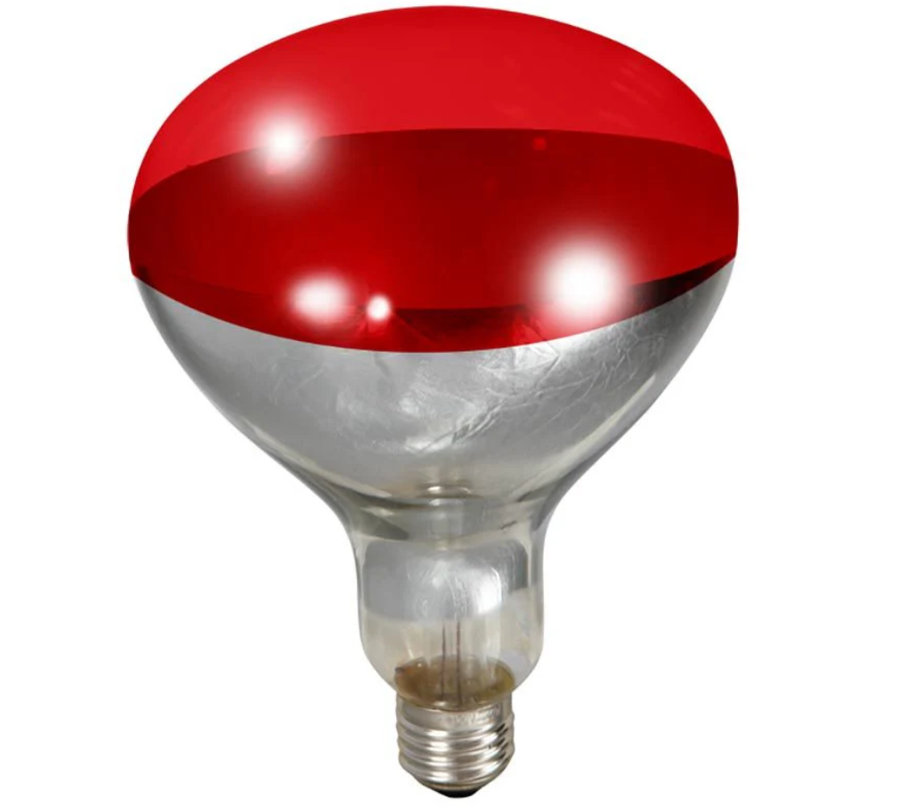 Red and clear light bulb on a white background