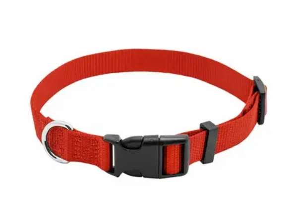 Red dog collar with a black buckle on a white background
