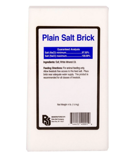Plain White Salt Brick