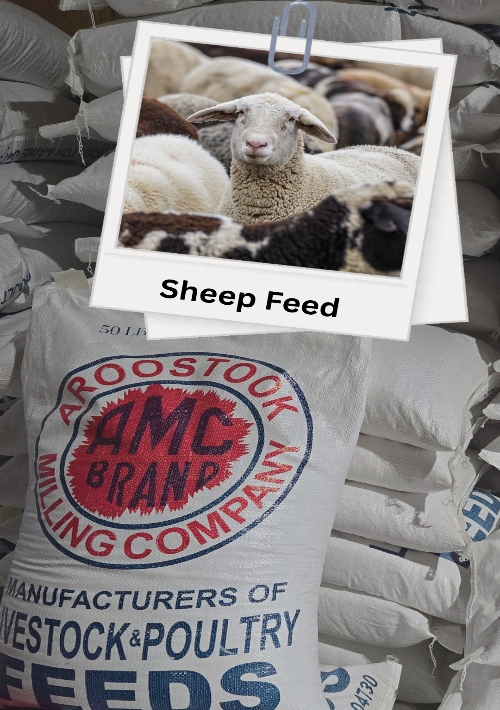 Stack of AMC Brand feed bags with a photo of sheep on top